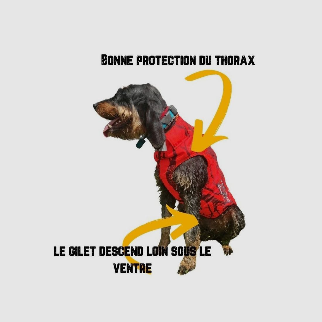 PROTECTION VEST FOR DOG DEFENDER 2.0, image 2 of 5