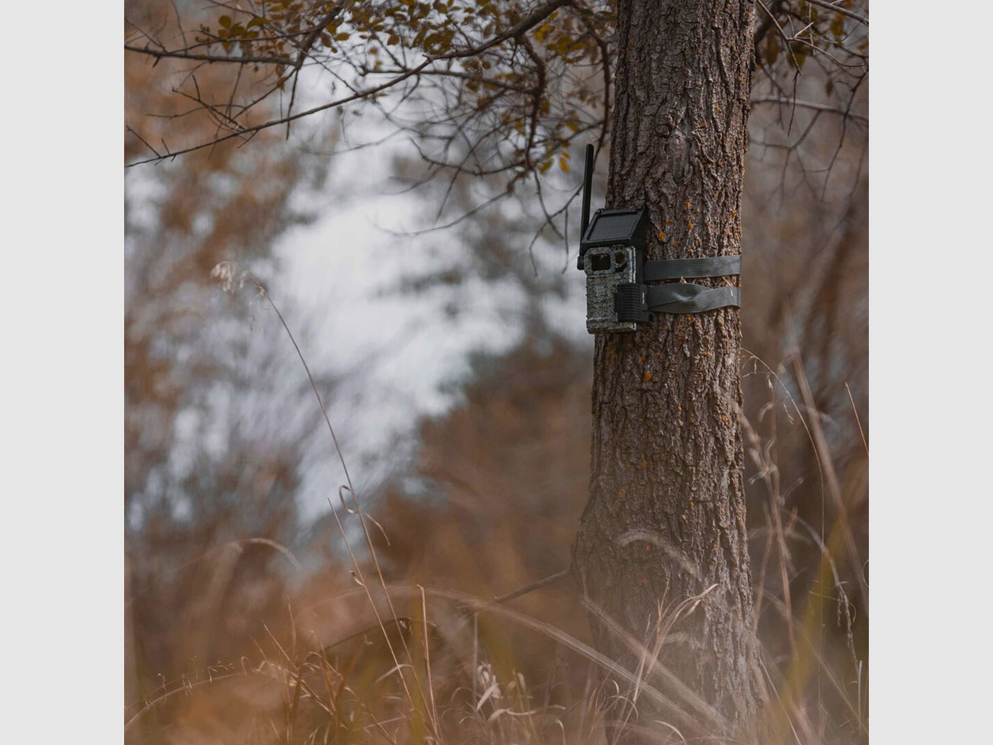 Spypoint Spypoint Link-Micro-S