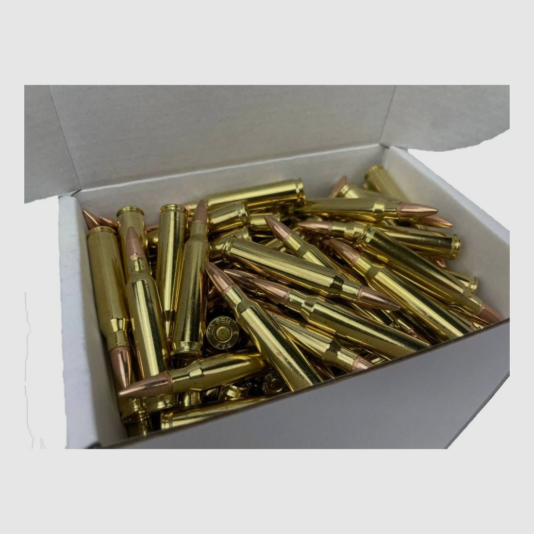 223 Remington PAX FMJ 55gr VE250