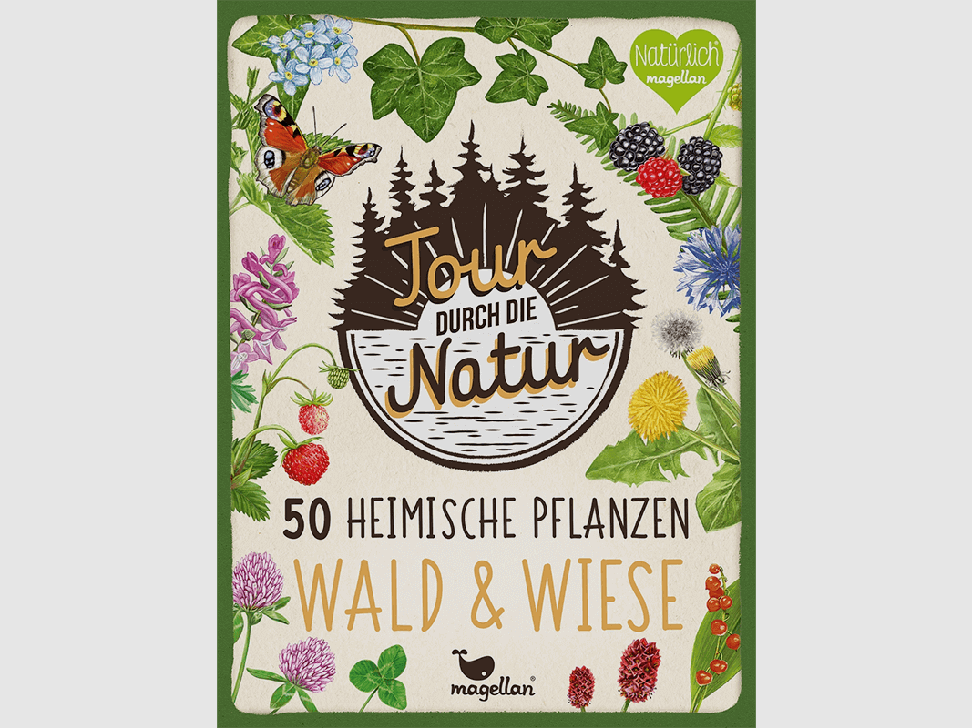 Spiel "Tour durch die Natur - Wald und Wiese"