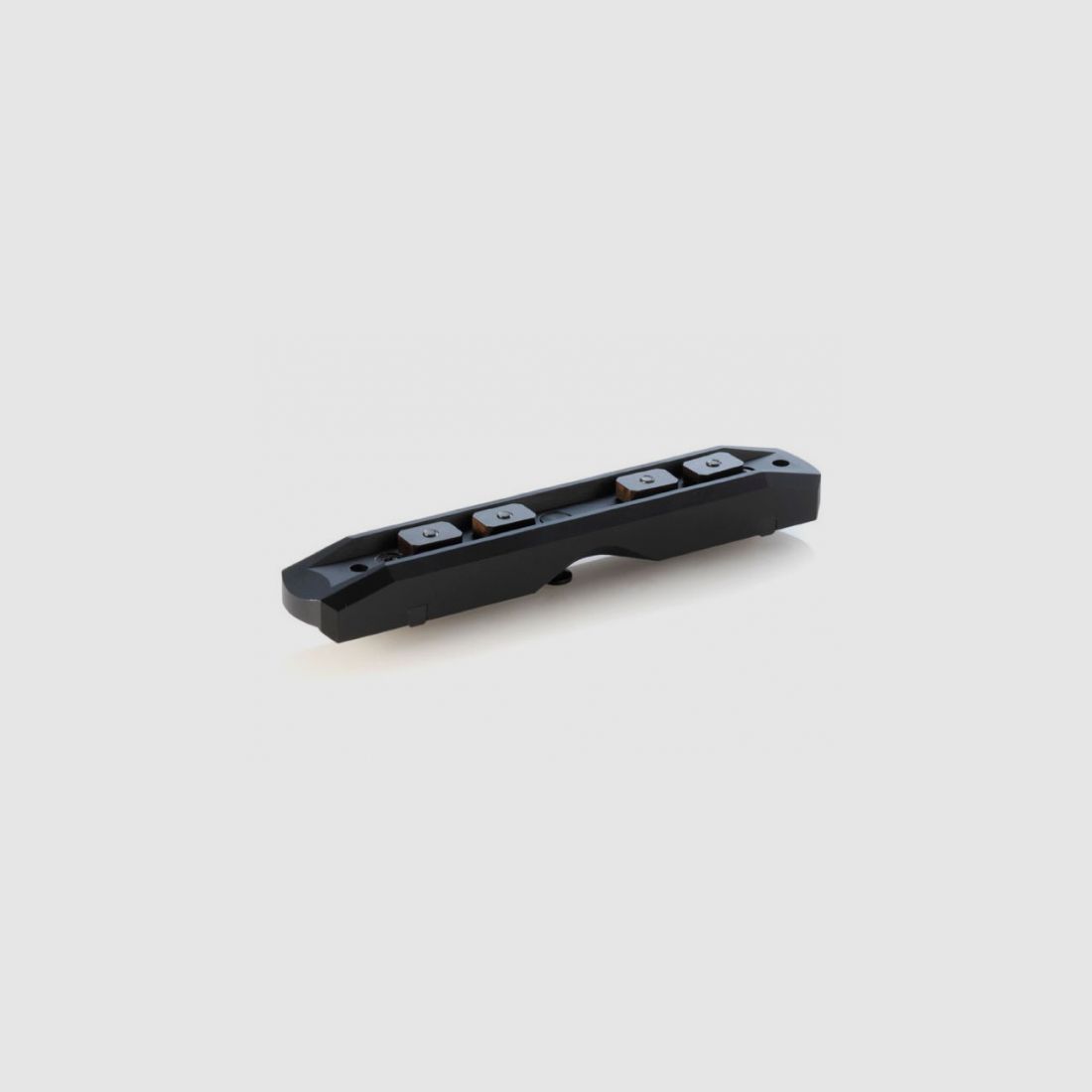 Dentler basic steel mounting rail