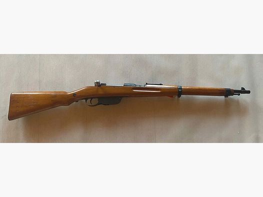 Steyr M95