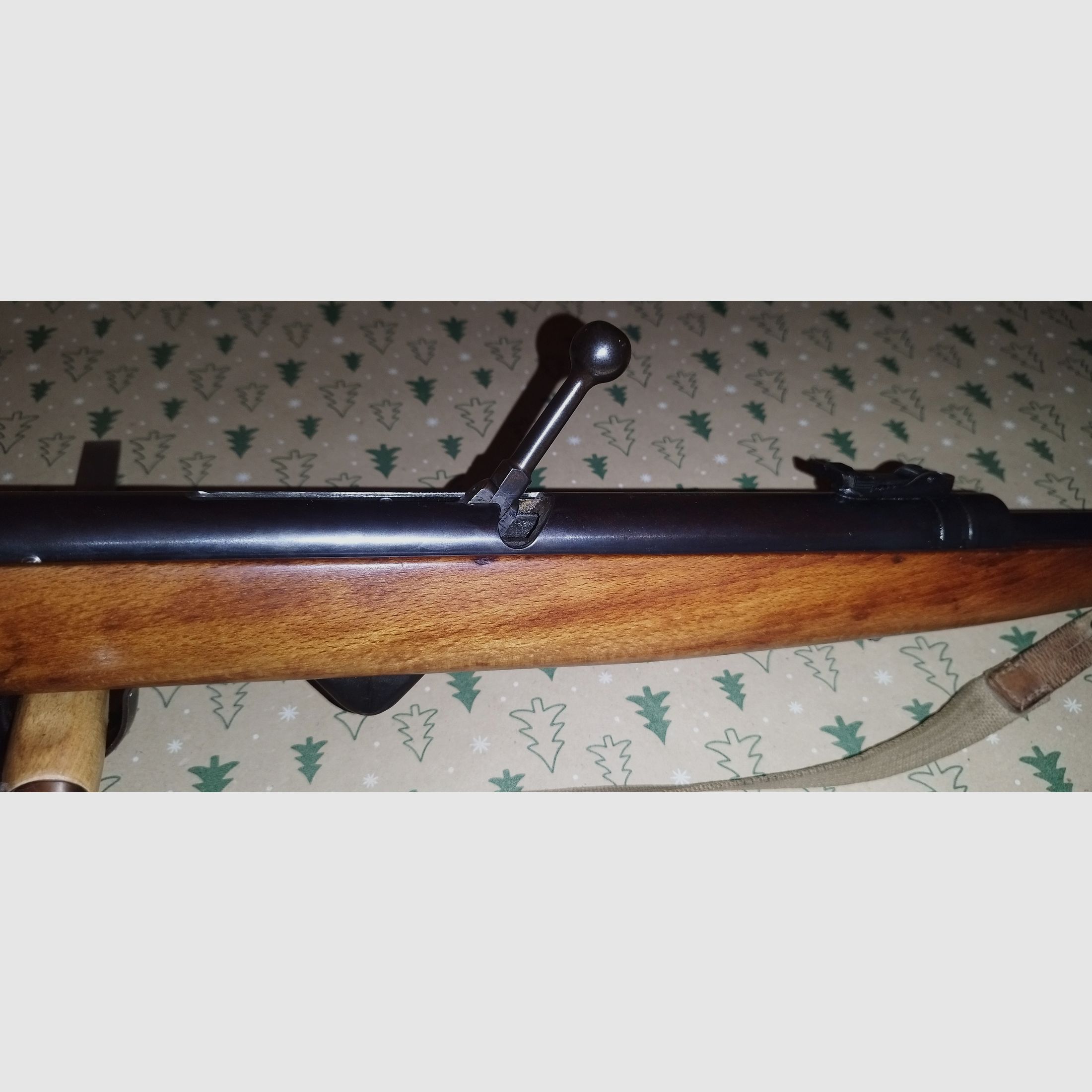 Wunderschöne Haenel 310 top Zustand