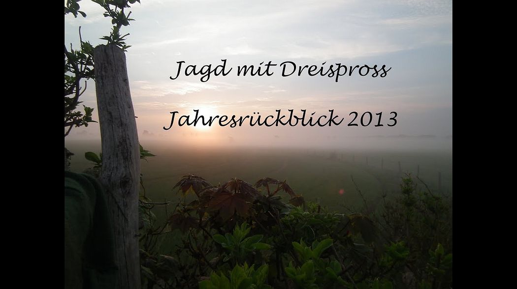 Jagd 2013 ... Jahresrückblick auf Drückjagd und mehr