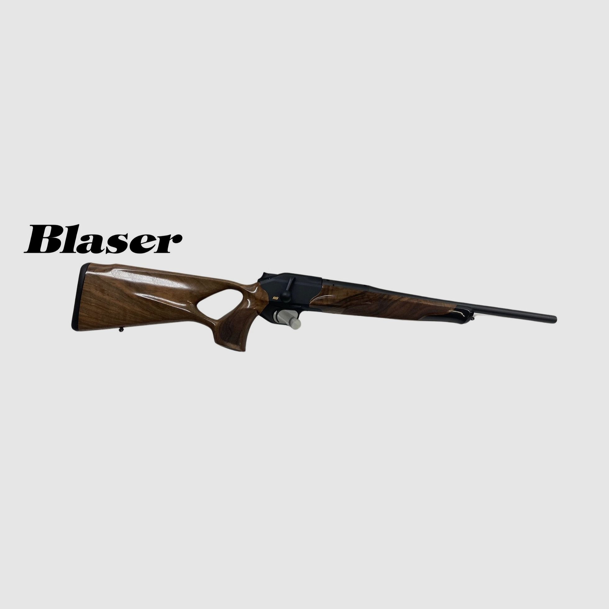 Blaser R8 Success