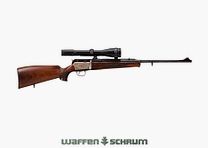Blaser SR 830 .30-06Spring , ZF Zeiss DIAVARI-Z 2,5-10x52 Abs.1, Schwenkmontage , LL: 60cm