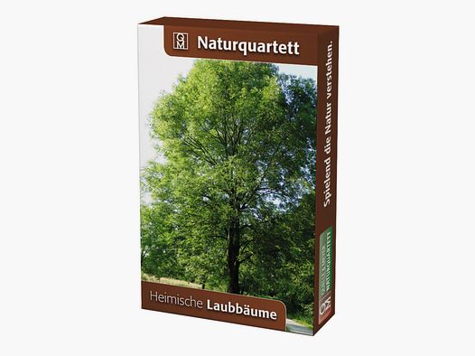Quartetto della natura Alberi decidui autoctoni