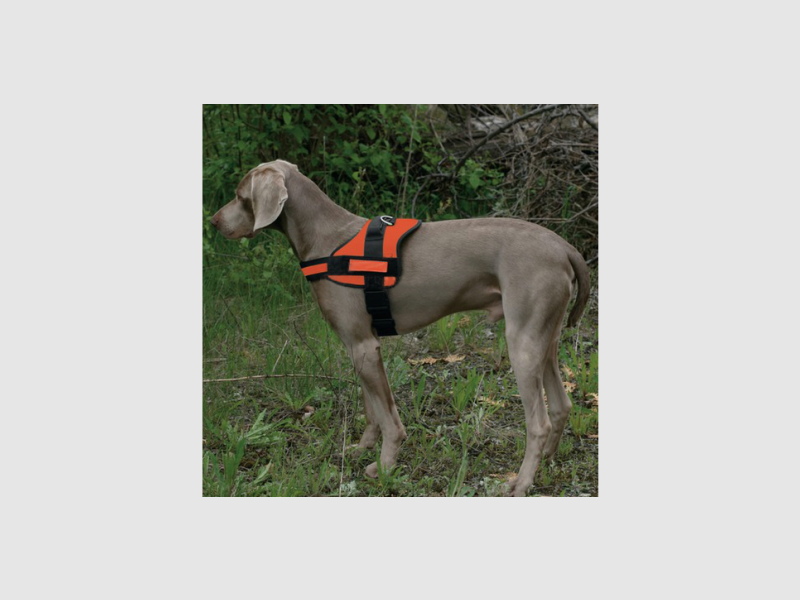LED collar green, image 7 of 8