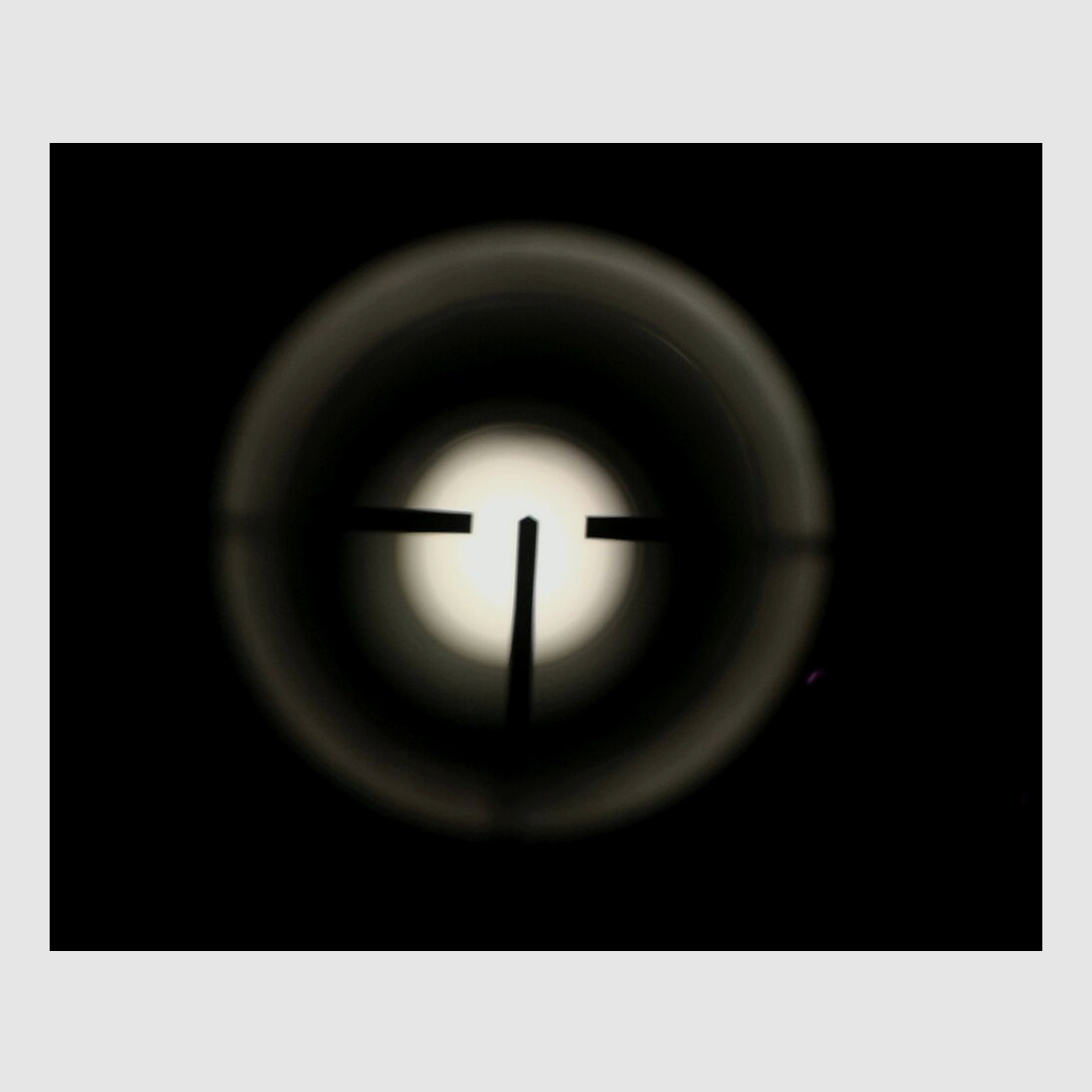 Zastava sans * avec Zeiss Diatal 8x56 T*