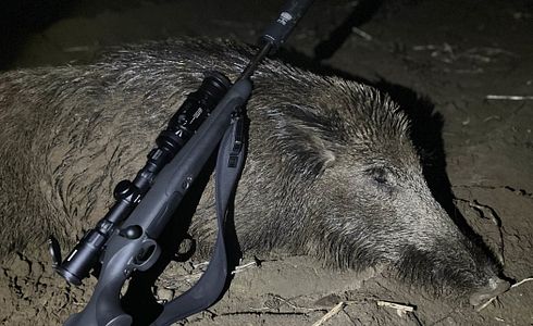 Auswahl der ersten Jagdwaffe - worauf kommt es an?
