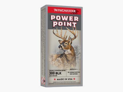 Winchester	 Subsonic 200grs - 20Stk