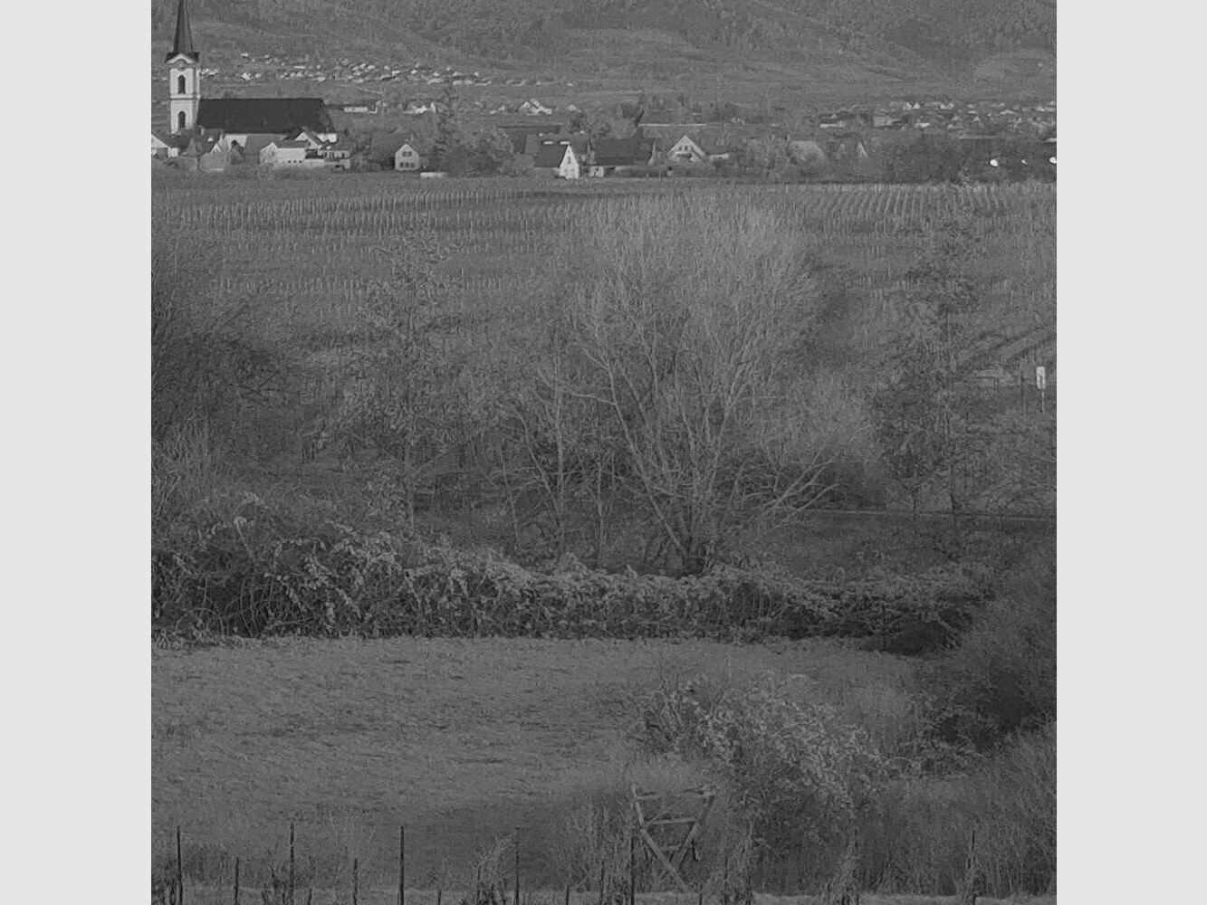 DIYCON Dual-Use Night Vision Device DNVC-2 Firefly