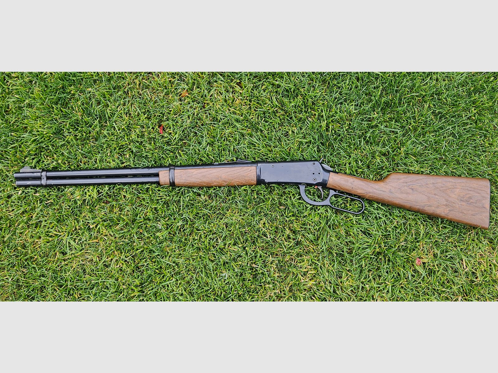 Daisy Rogers AR U.S.A Unterhebelrepetierer