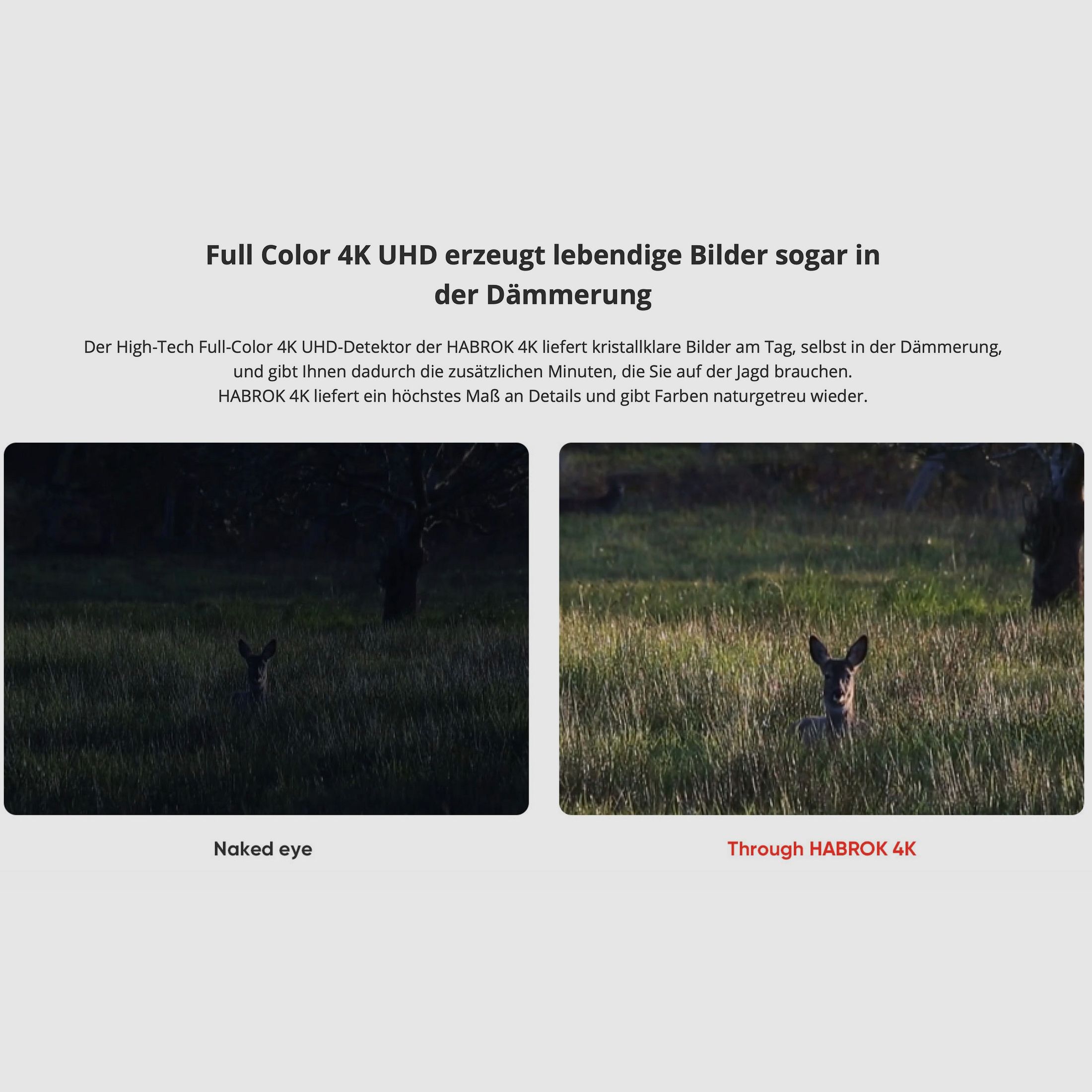 Hikmicro Verrekijker Habrok 4K HE25L 5.5-22x60 Warmtebeeld/Nachtzicht Digitale camera 850Nm 1920 x 1080