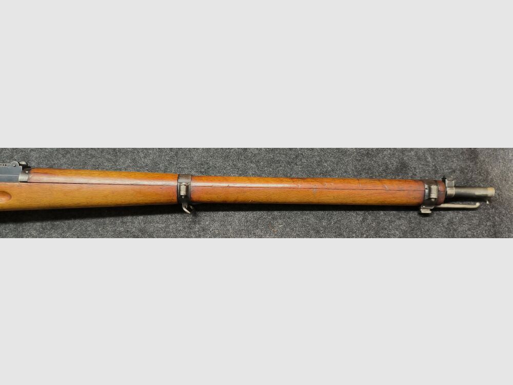 Schmidt Rubin G11