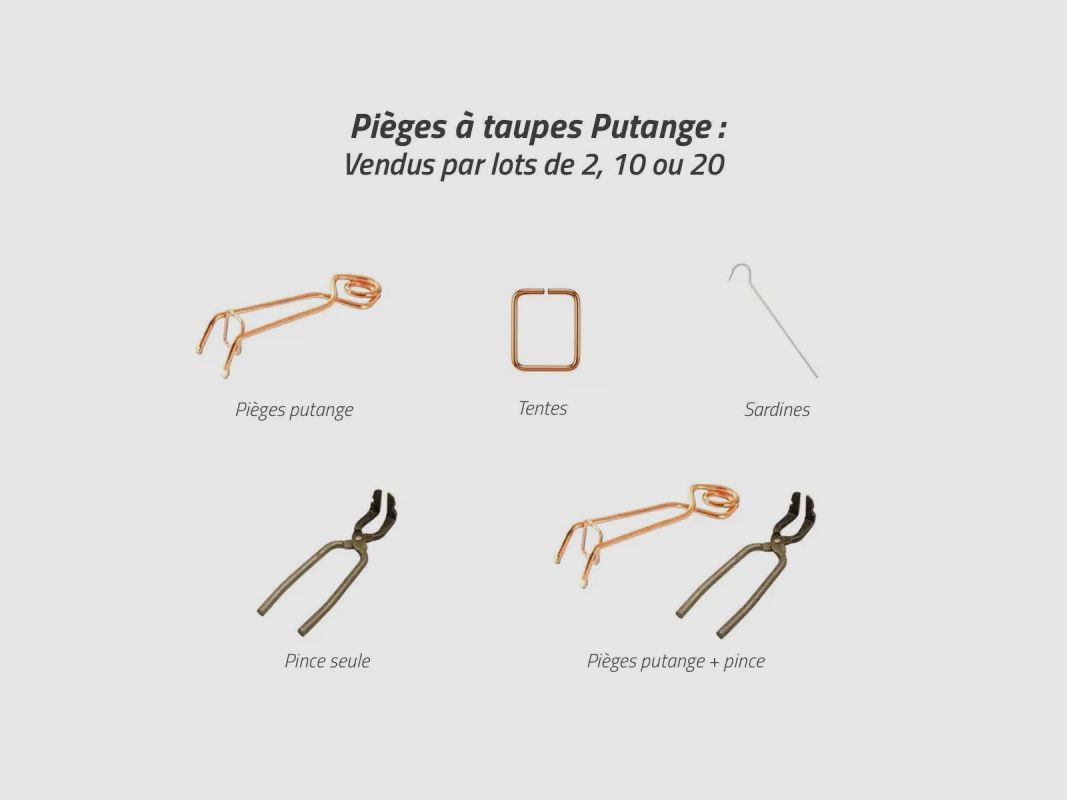 Set of 10 Putange traditional mole traps in copper-coated steel + pliers, image 14 of 17