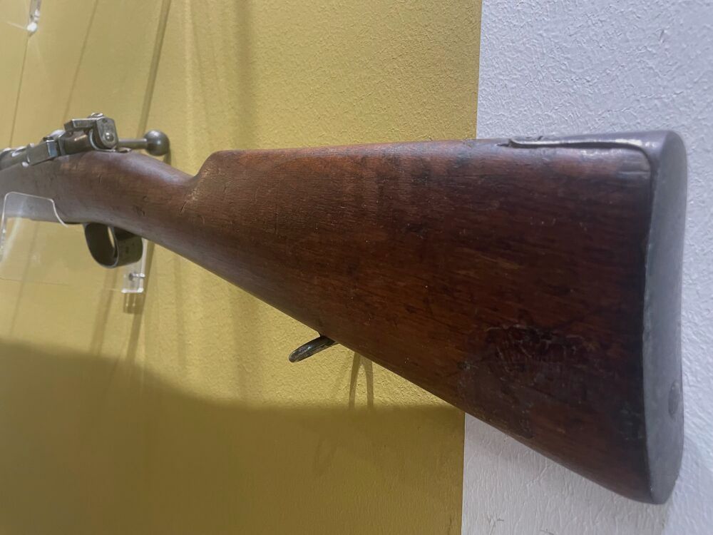 Carl Gustafs M 96