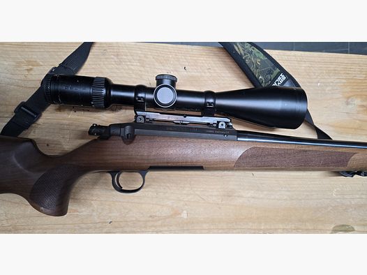 Steel Action HM / Dentler / Delta Optical
