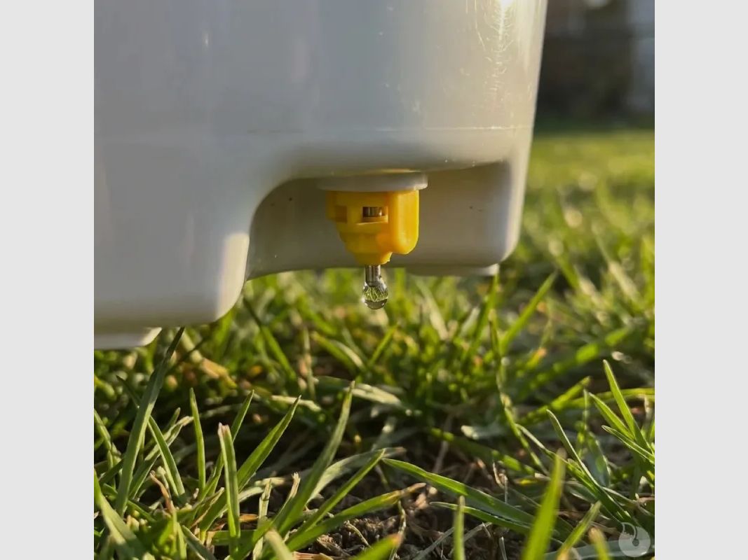 Tränke Eimer 3 Pipetten Geflügel 12L mit Aufhängeset, Bild 8 von 10