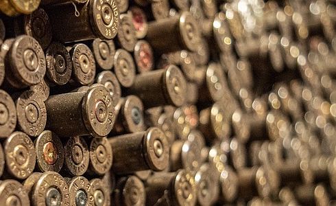 Kaliber .270 Winchester