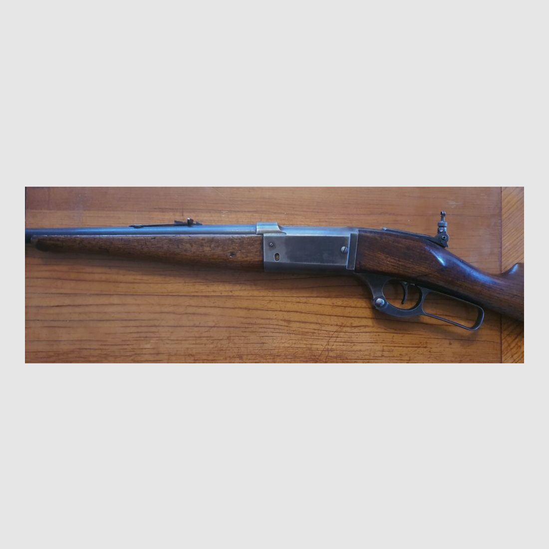 Savage 1899
