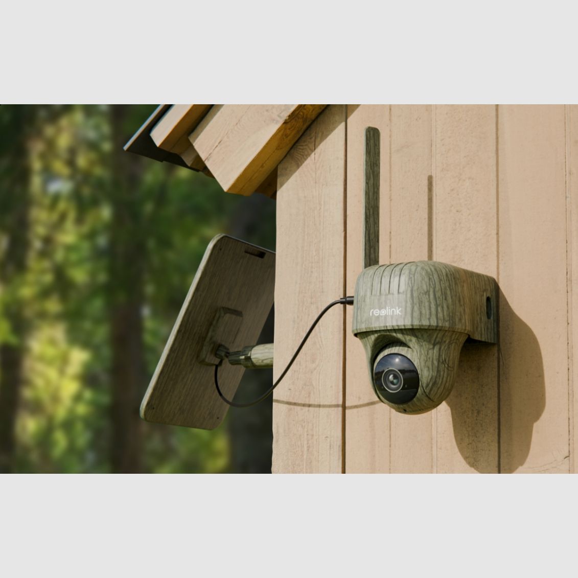 Reolink Go Ranger PT mit Solarpanel 4K 4G LTE Wildlife Camera mit 360 Grad Sicht