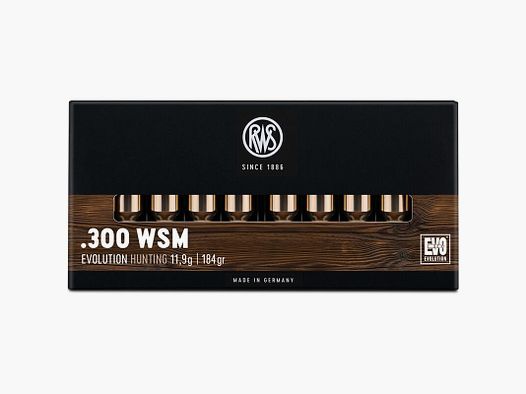 RWS Evo 184grs - 20Stk