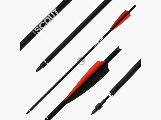 [Vorteilspack] Armbrustbolzen | X-BOW FMA Scout - 20 Zoll - Hybridbolzen - 12 Stück