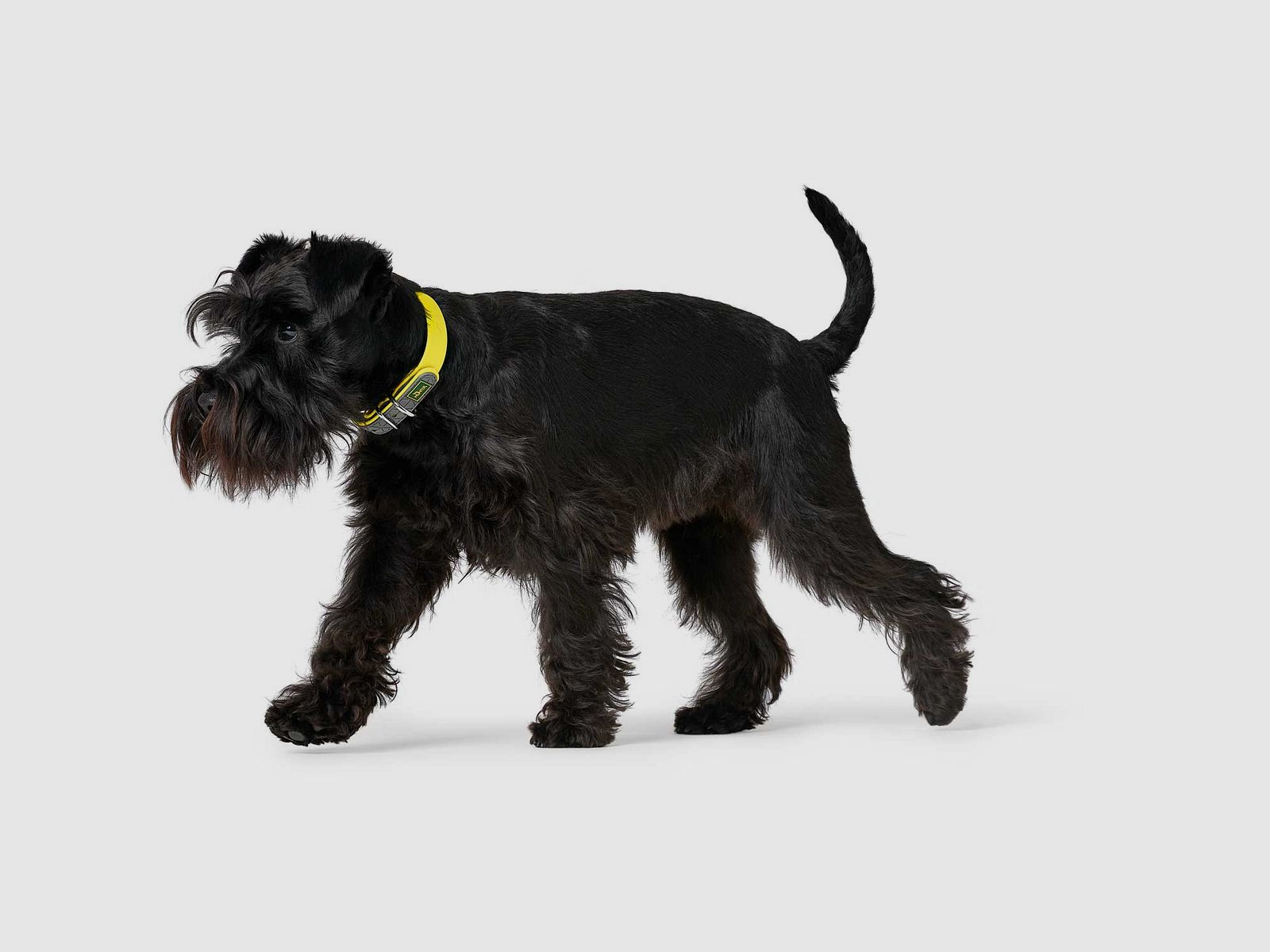 Hunter Halsband Convenience