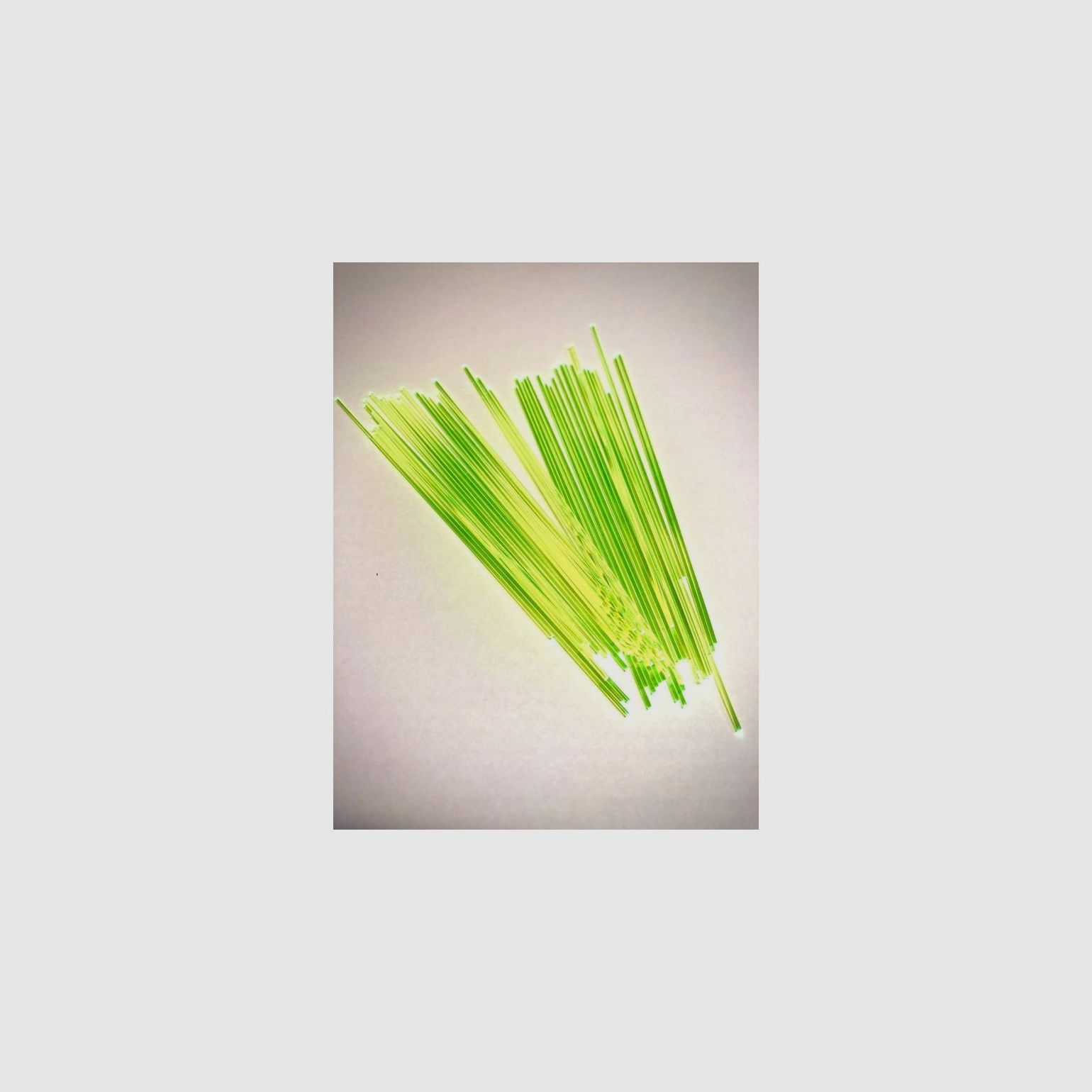 FIBRE OPTIQUE LPA DIAM 1MM GRÜN X10