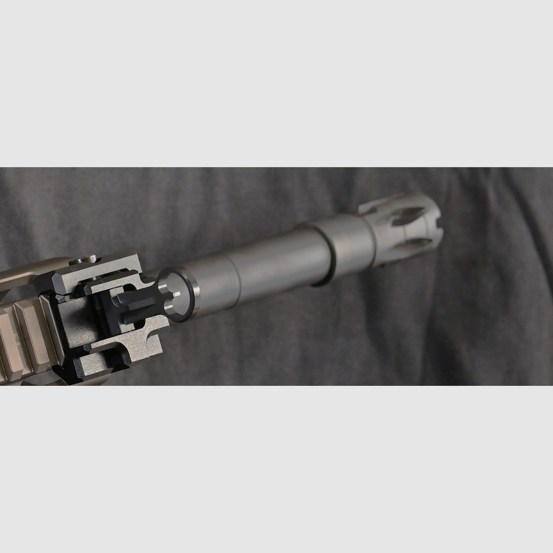 SL M 308 A3 con canna da 20 pollici opzionale con Steiner ZF marrone