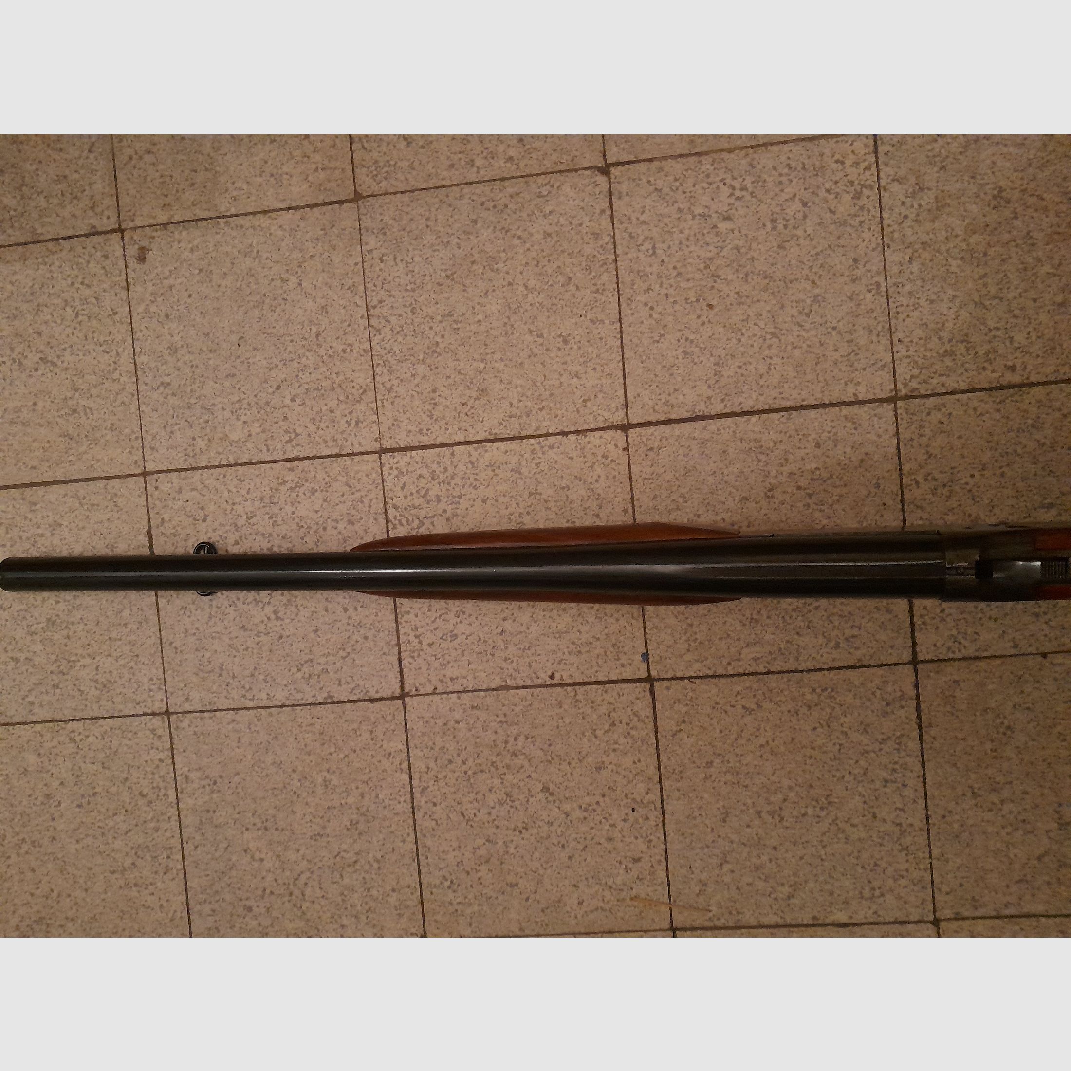 Einzelladerflinte, Astra Ciclope, Kal. 12/70