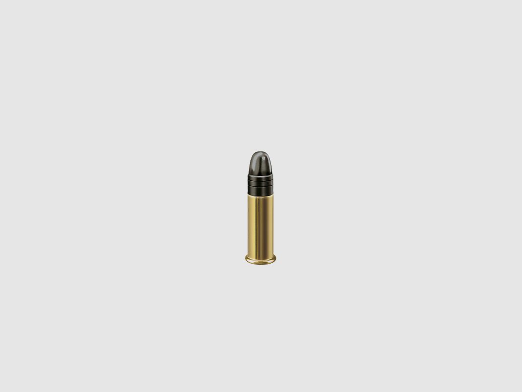RWS 22 LR R-50 Munition, Bild 2 von 2
