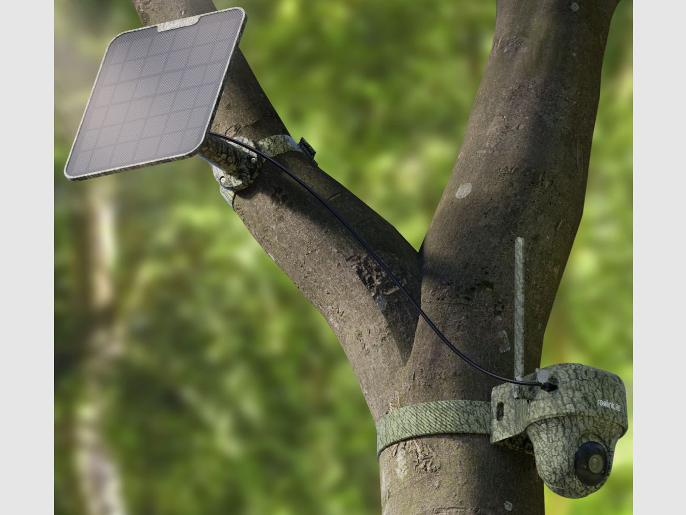 Reolink Go Ranger PT mit Solarpanel 4K 4G LTE Wildlife Camera mit 360 Grad Sicht