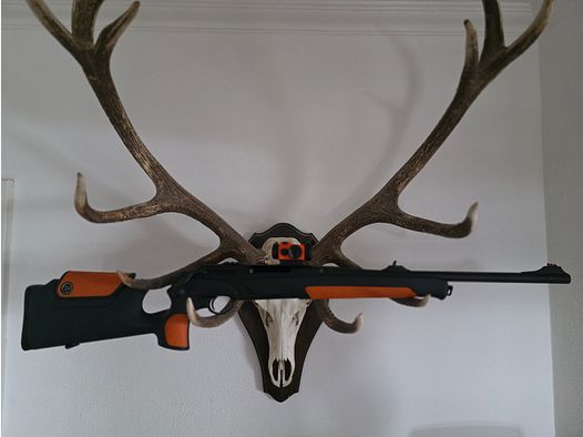 Merkel Speedster Semi Lauf Pomarańczowy/Czarny 308