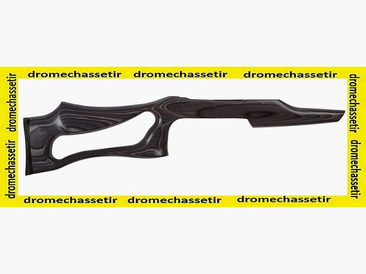 Laminiert Schaft Boyds SS EVOLUTION STEVENS 300 grau