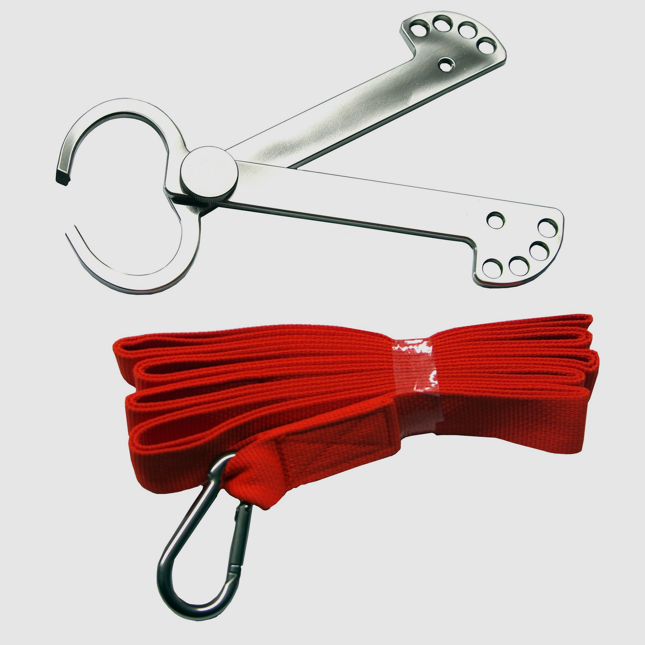 Wilddragers en wildgalgen