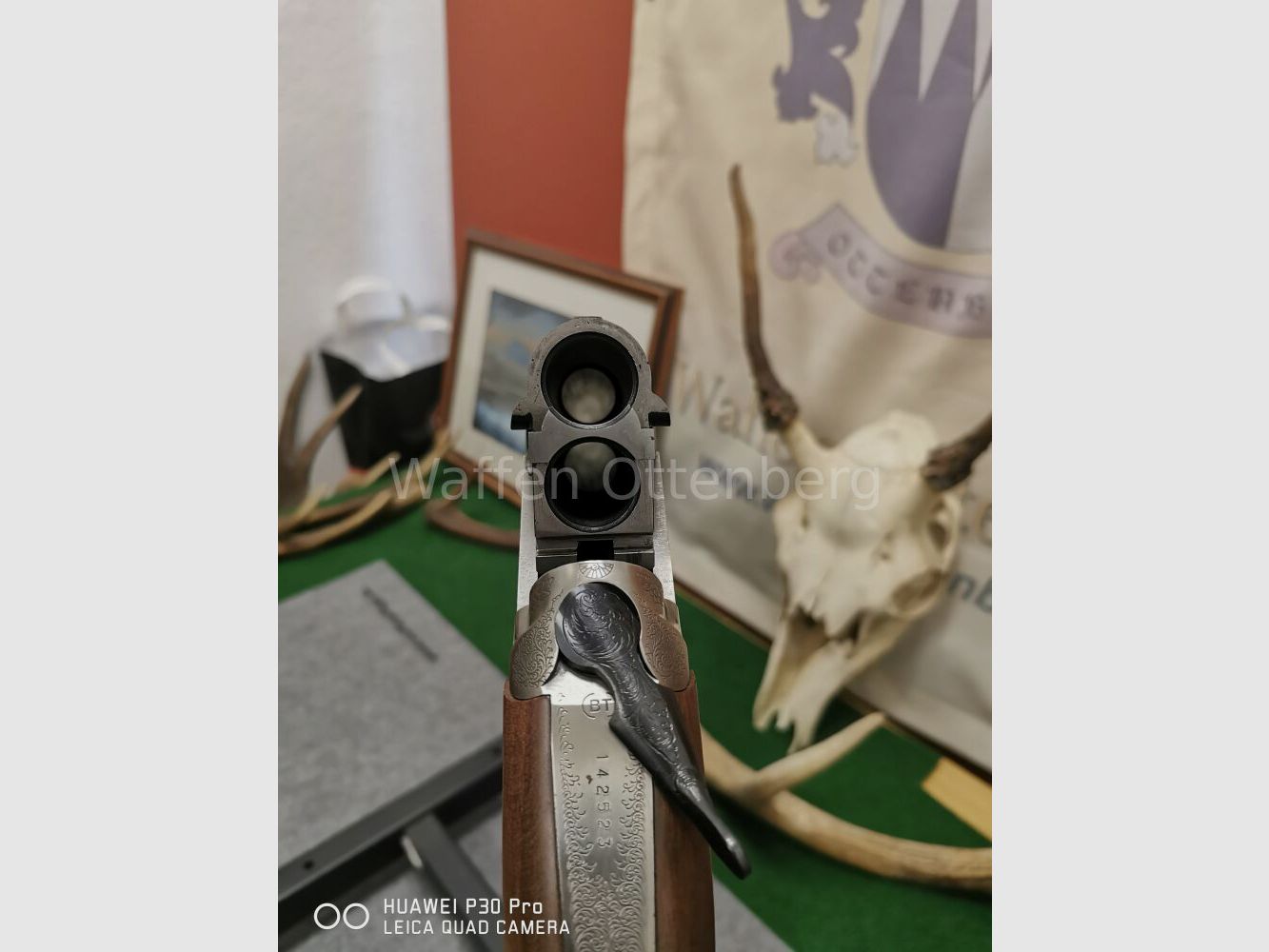 Kettner Campione