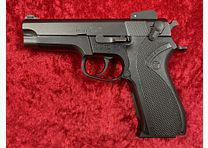 Smith & Wesson 5904