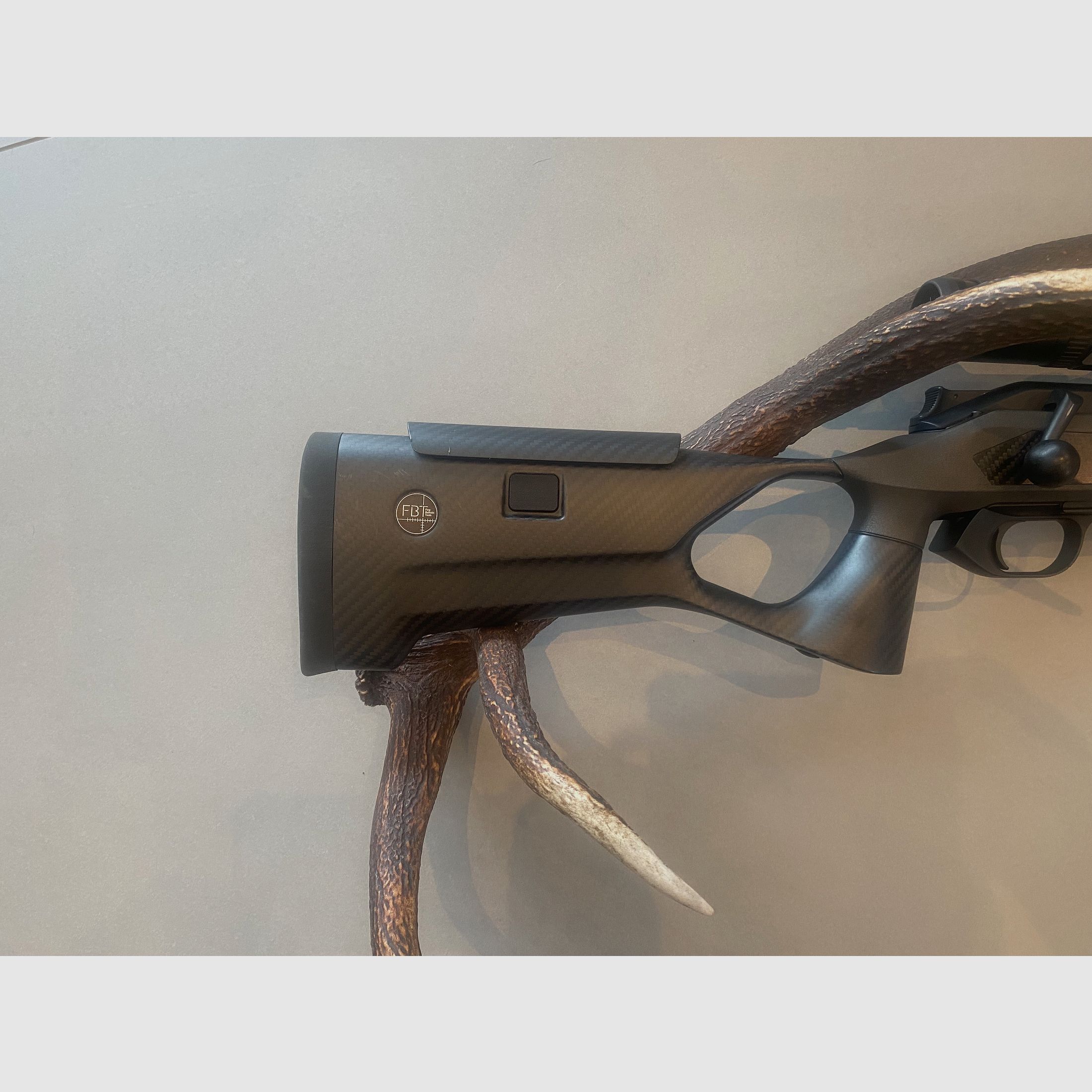 Sauer 202 carbon stock caliber 308