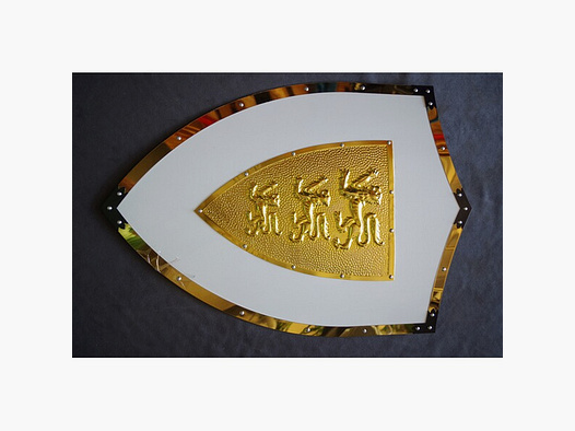 Löwen Ritter Schild mit Metall Beschlägen LARP, Festivals Einzelstück