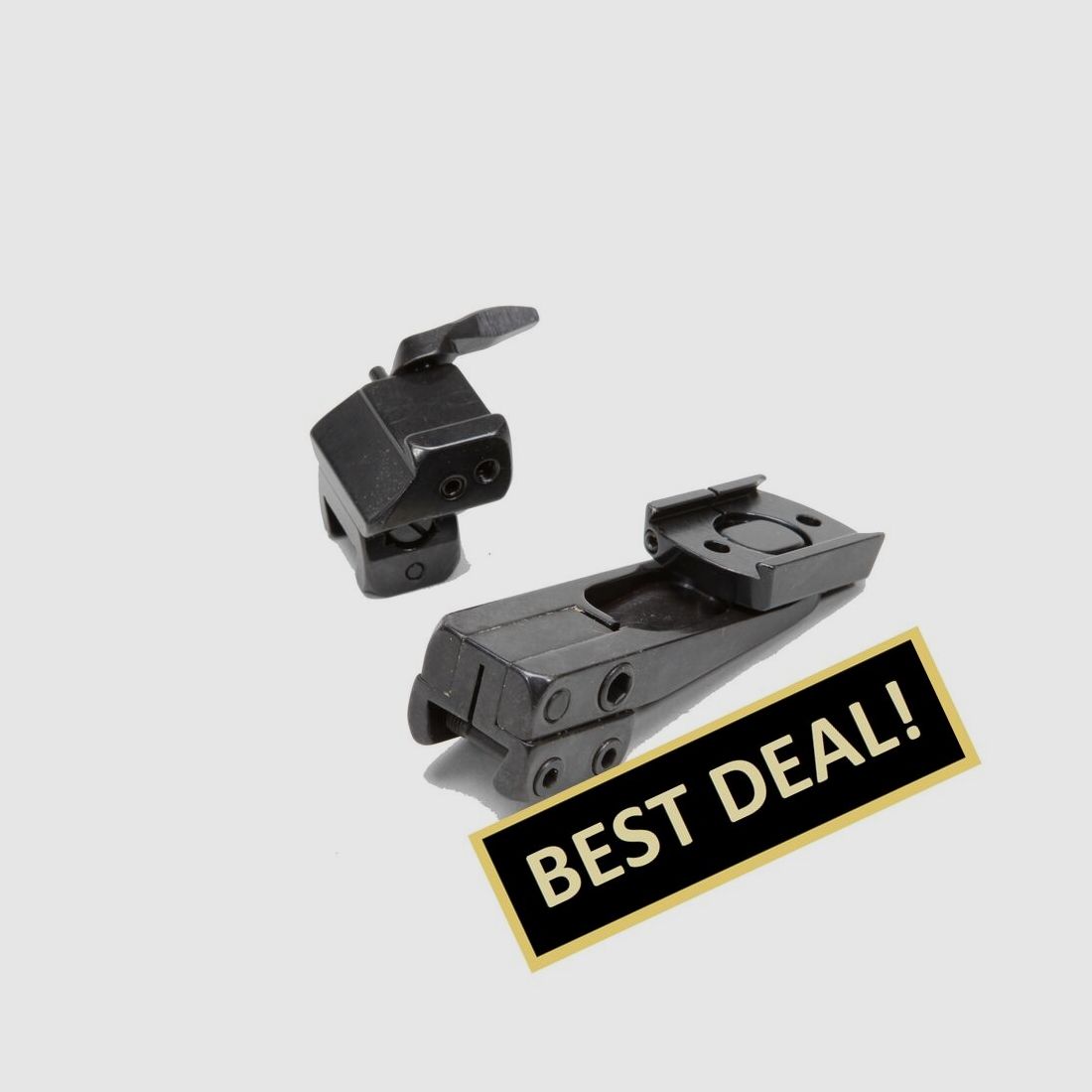 EAW Schwenkmontagen Modell Sauer 202