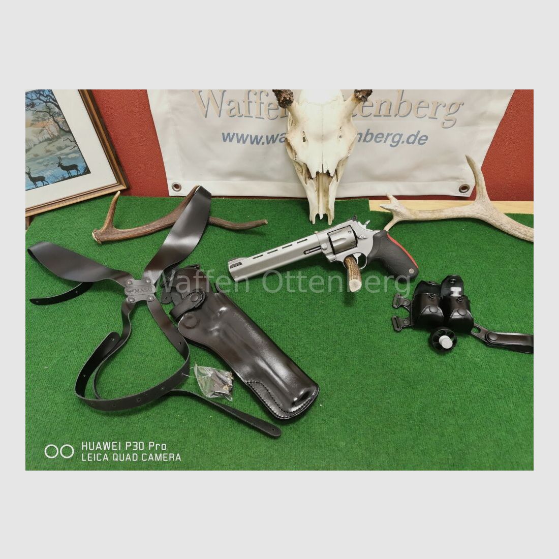 Taurus Raging Bull