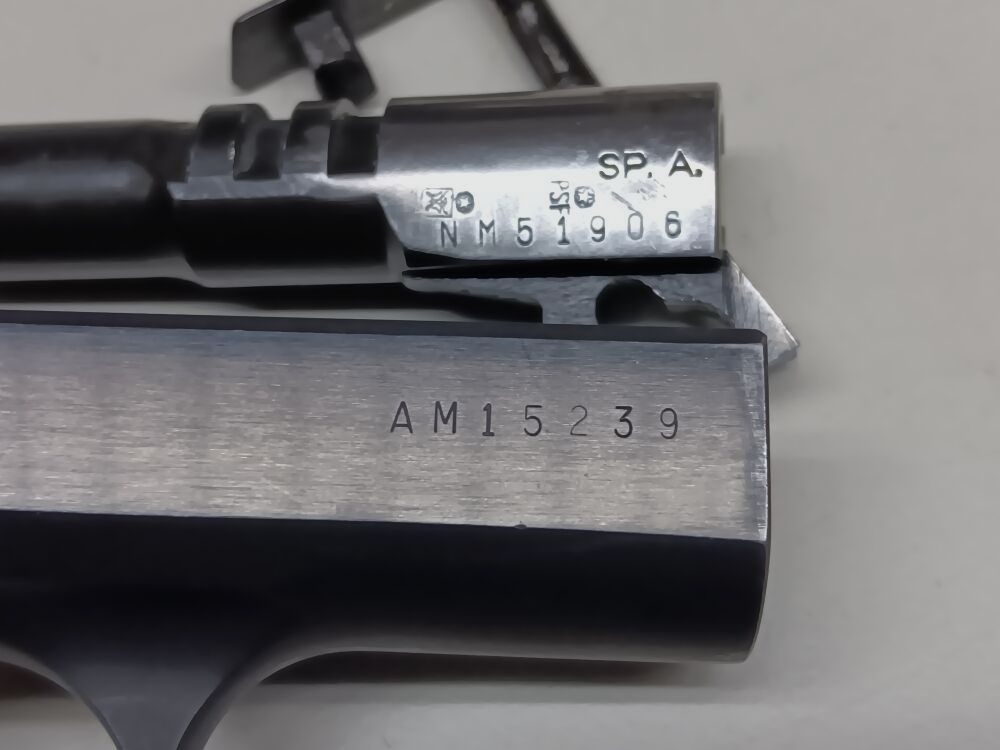 Springfield Armory Model P9