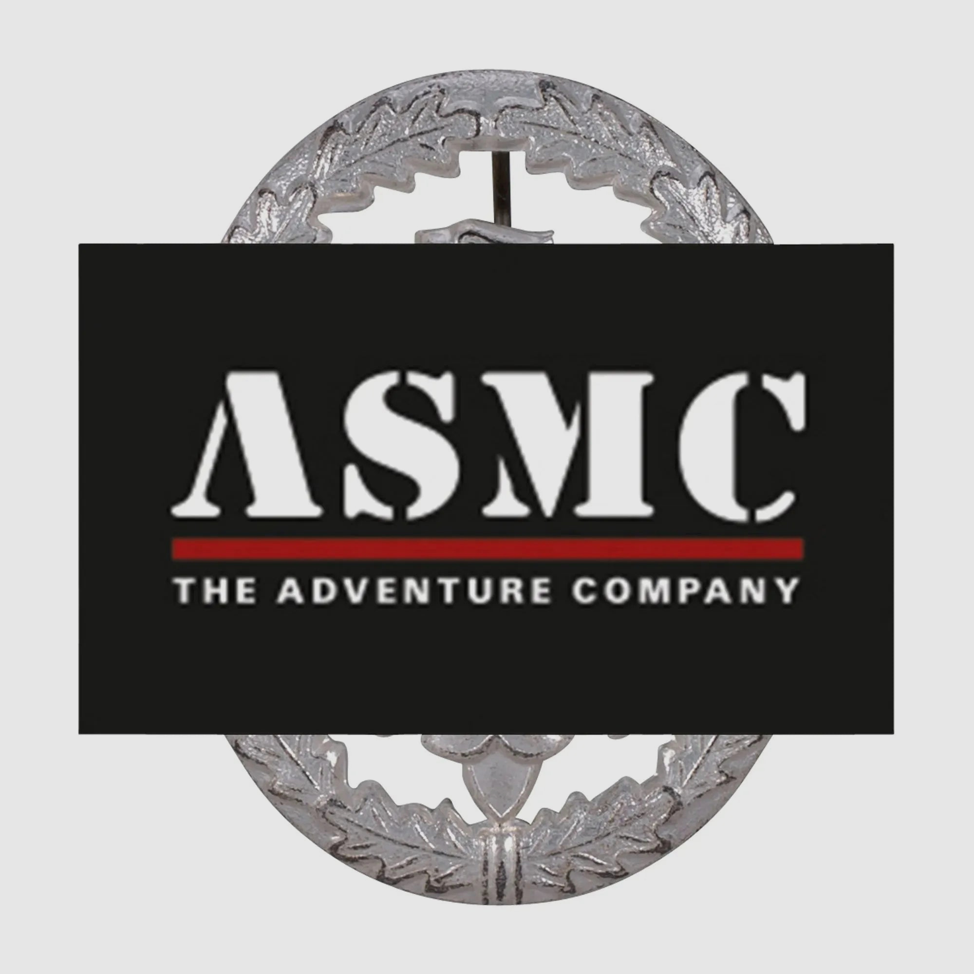 Fritzsch Leistungsabzeichen Metall silberfarben