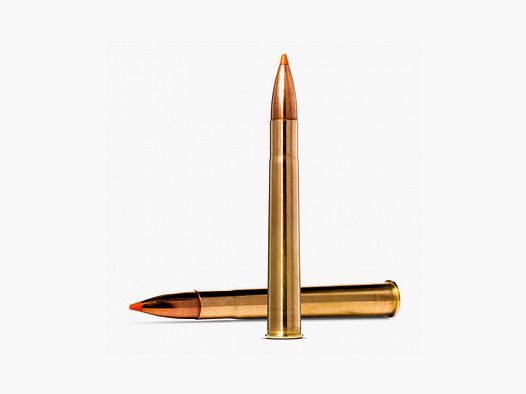 Munición Metálica NORMA 9,3×74 R TipStrike 225 Grains
