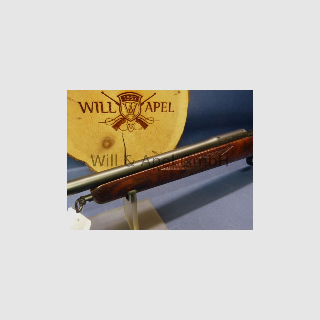 BLASER/ ISNY R93 TIMBER