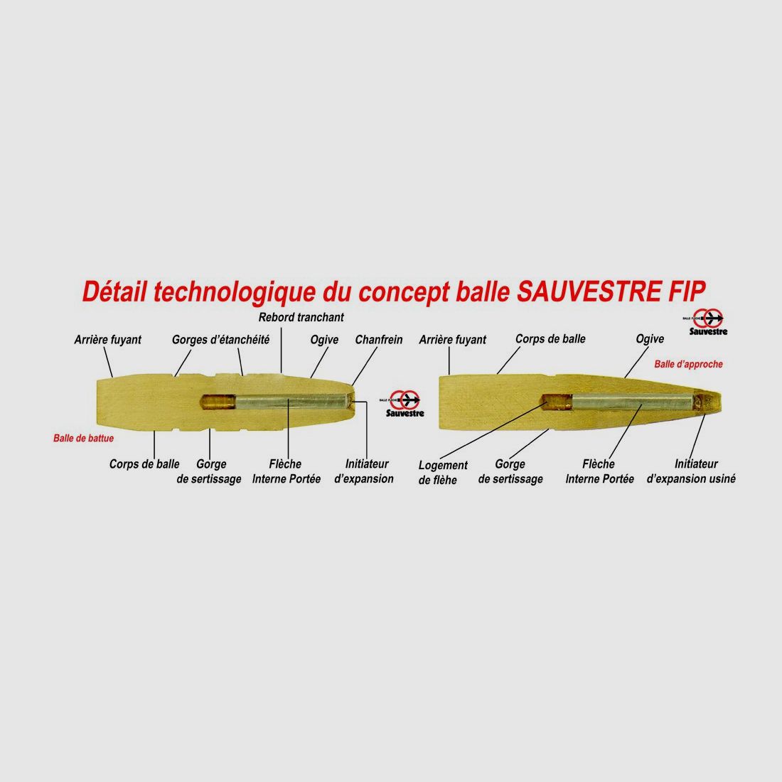 Sauvestre .30 R Blaser FIP 164 gr / 10.6 g, Bild 5 von 6