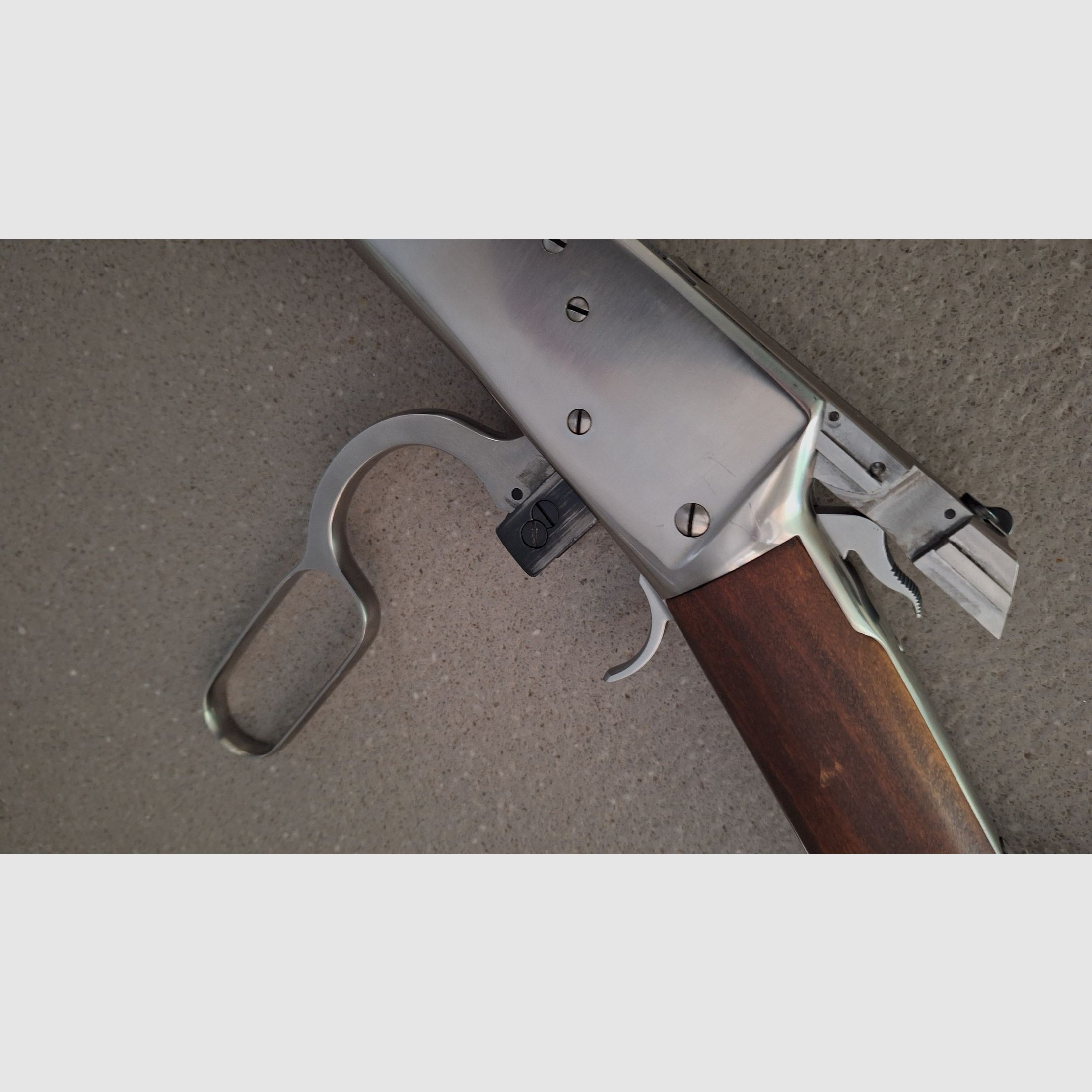 Puma Octagonal, Rossi .44 Magnum 24 inch stainless con Burris Fastfire 3