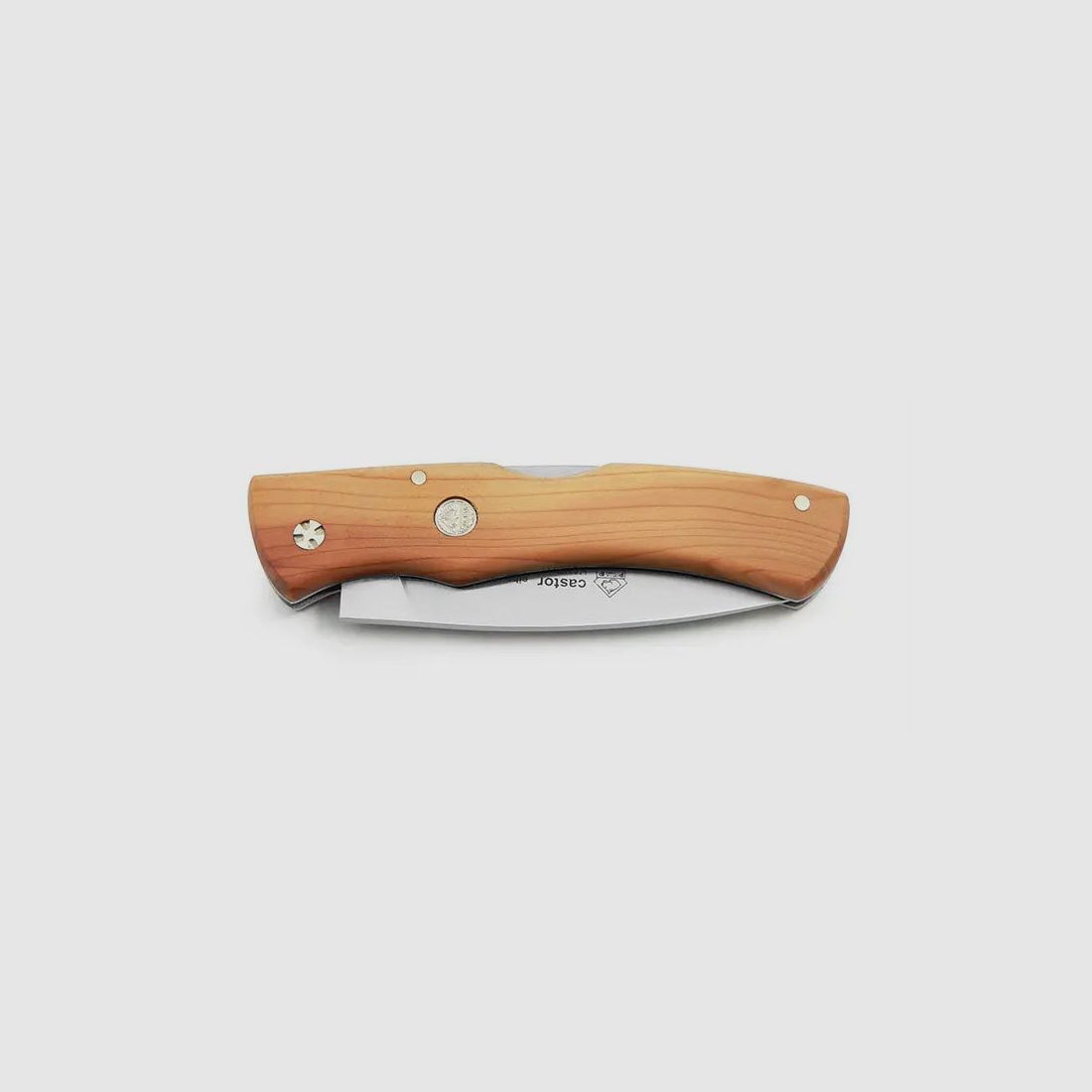 PUMA IP castor yew